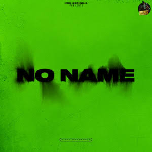 Album cover for NO NAME